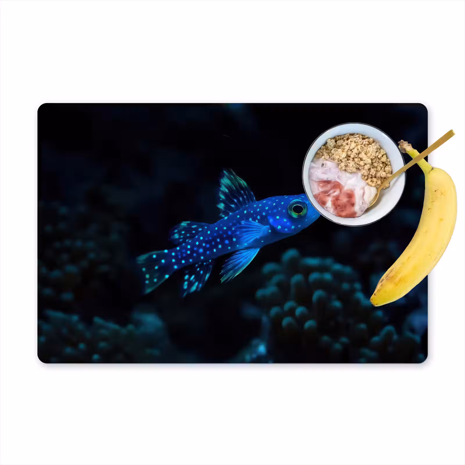 Sets de table en vinyle - Poisson - Points - Corail - Bleu — 1