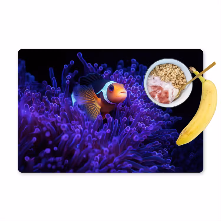 Sets de table en vinyle - Corail - Poisson - Orange - Mer — 1