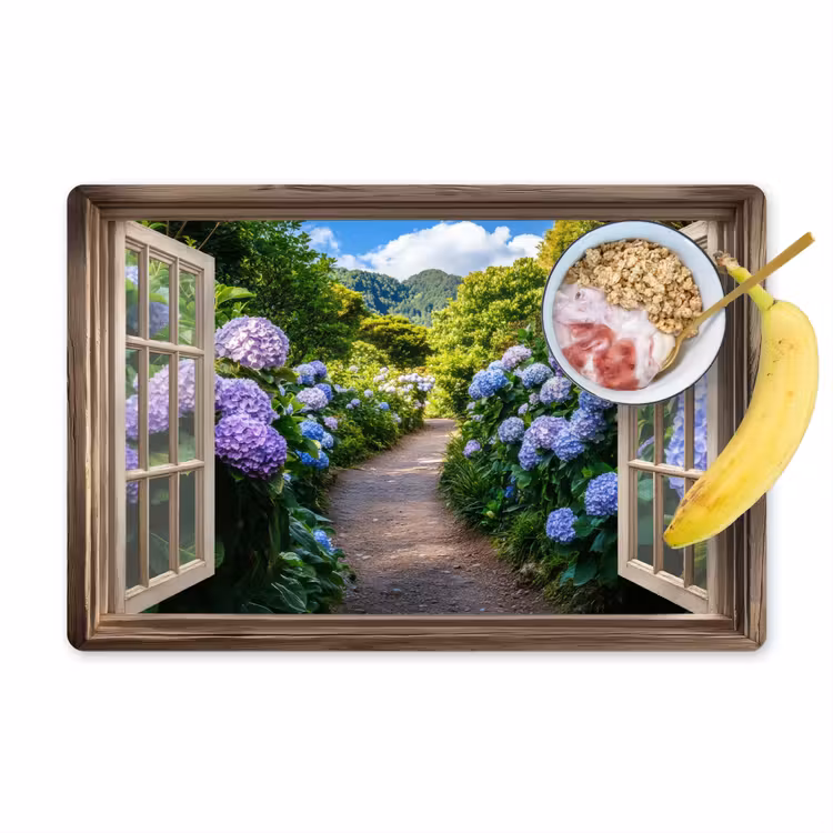 Sets de table en vinyle - Aperçu - Hortensia - Chemin - Nature — 1