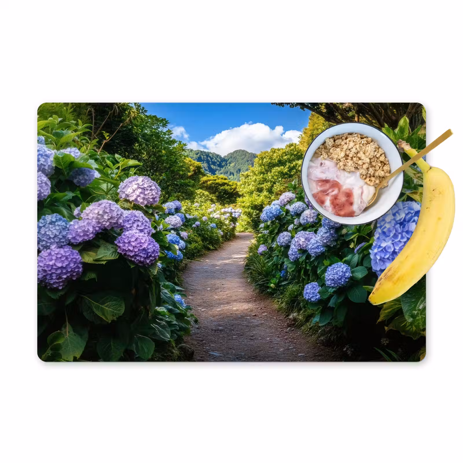 Sets de table en vinyle - Hortsensia - Crapaud - Fleurs — 1