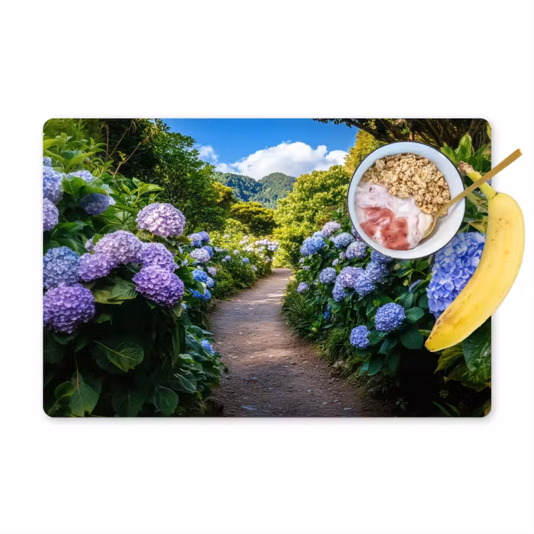 Sets de table en vinyle - Hortsensia - Crapaud - Fleurs — 1