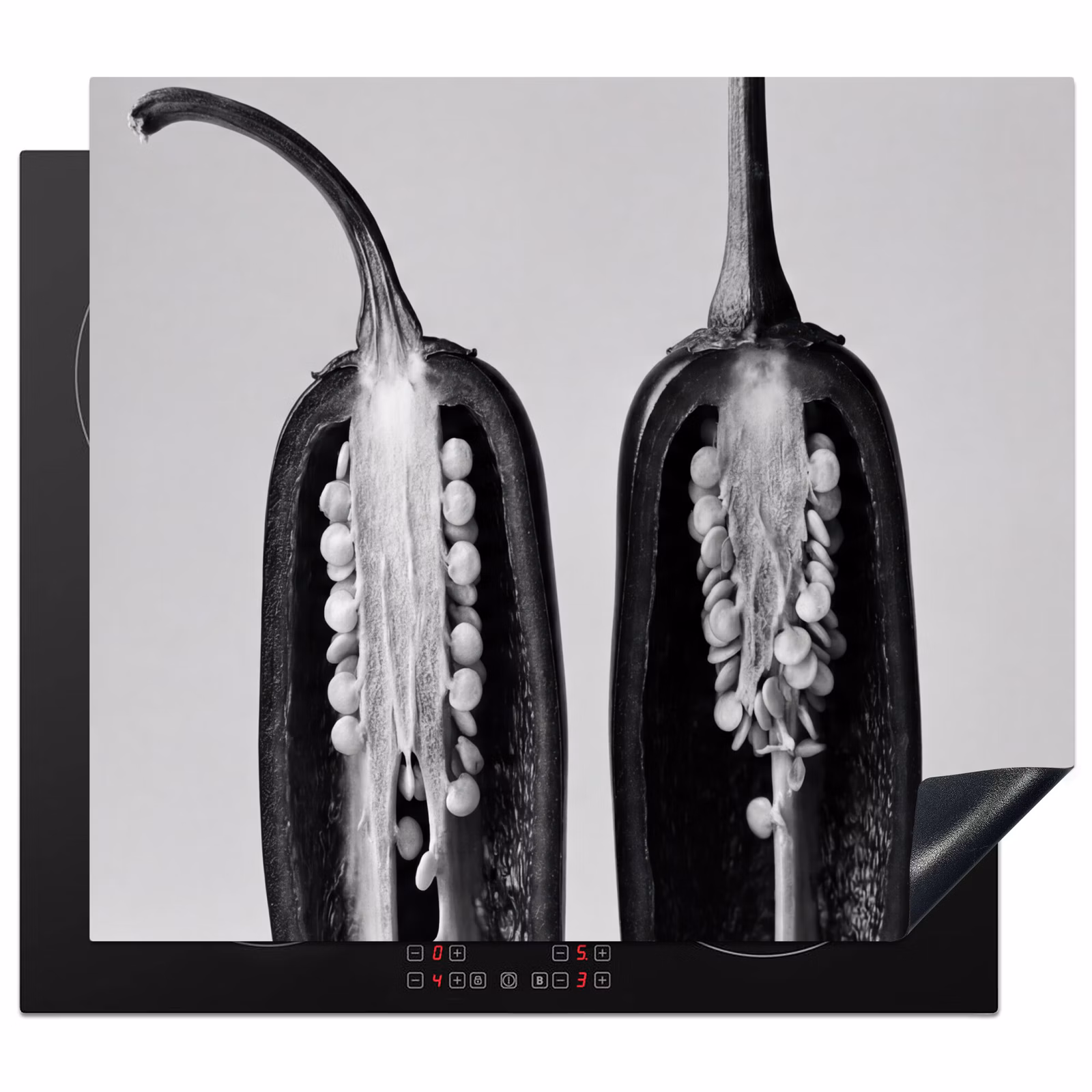 Protection plaque induction - Poivrons - Noirs - Blancs - Cadres de semences — 1
