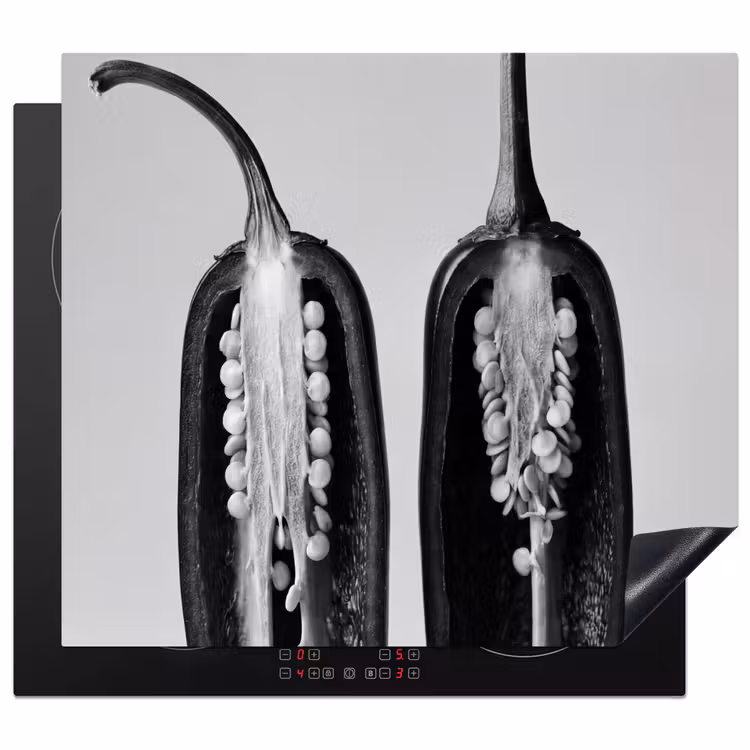 Protection plaque induction - Poivrons - Noirs - Blancs - Cadres de semences — 1
