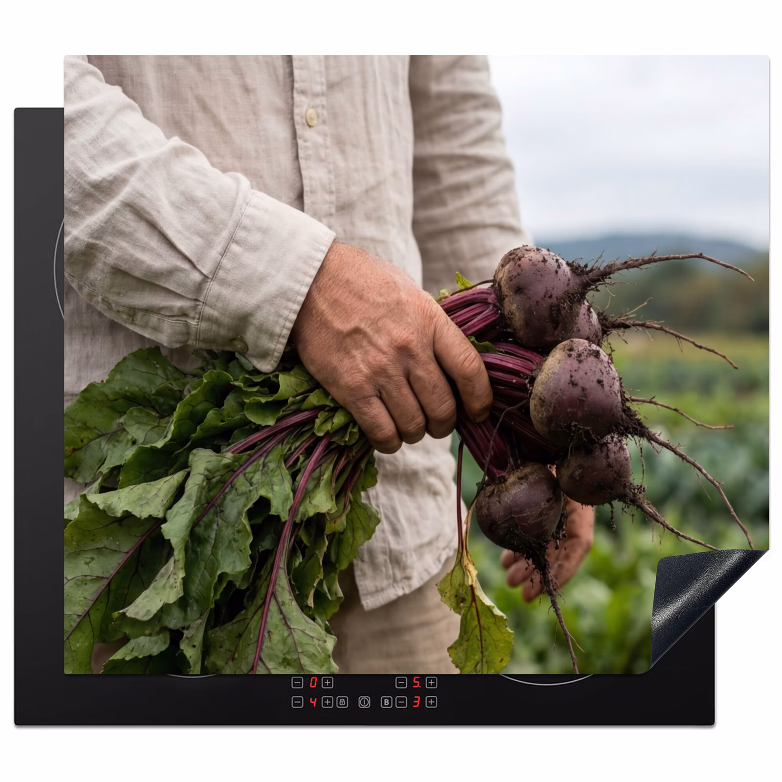 Protection plaque induction - Betteraves - Fraîches - Potager — 1