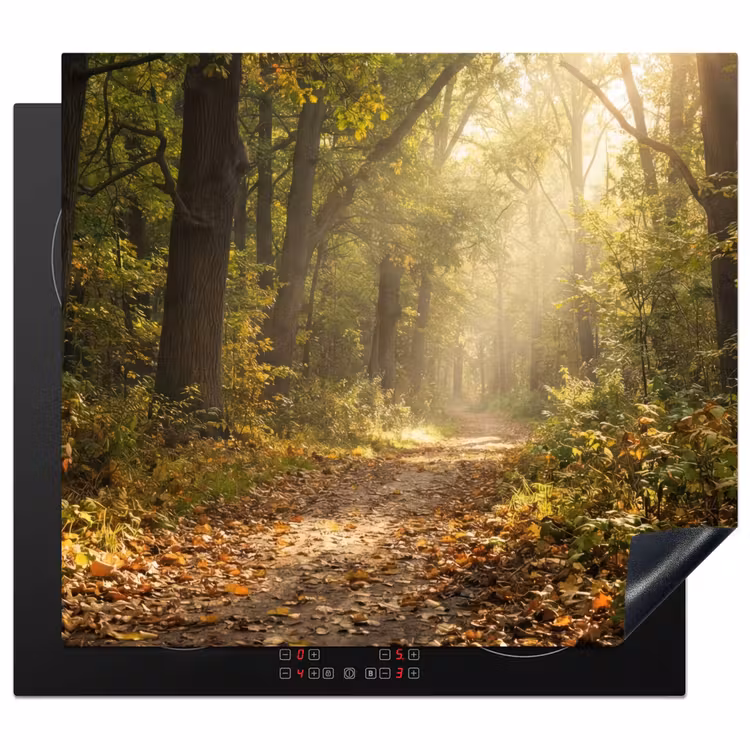 Protection plaque induction - Lumière du soleil - chemin forestier - arbres — 1