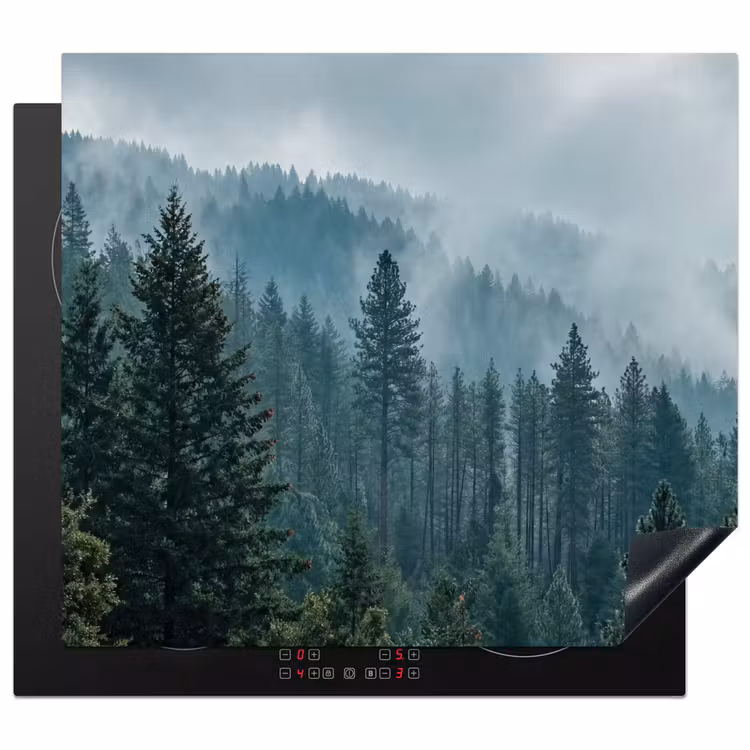 Protection plaque induction - Naaldwoud - Bergen - Fog — 1