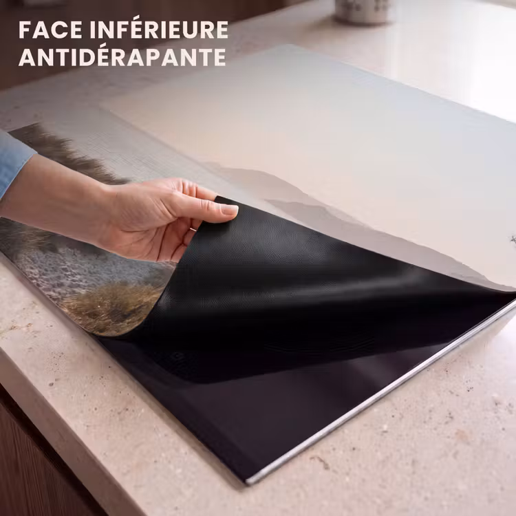 Protection plaque induction - Paysage - Littoral - Dunes — 7