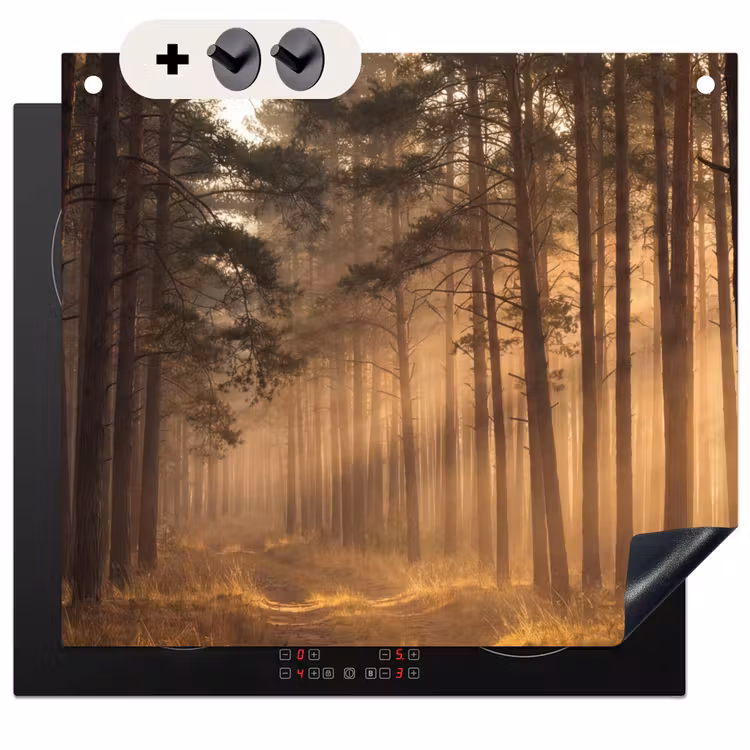 Protection à induction avec crochets - Forêt - Brouillard - Soleil — 3