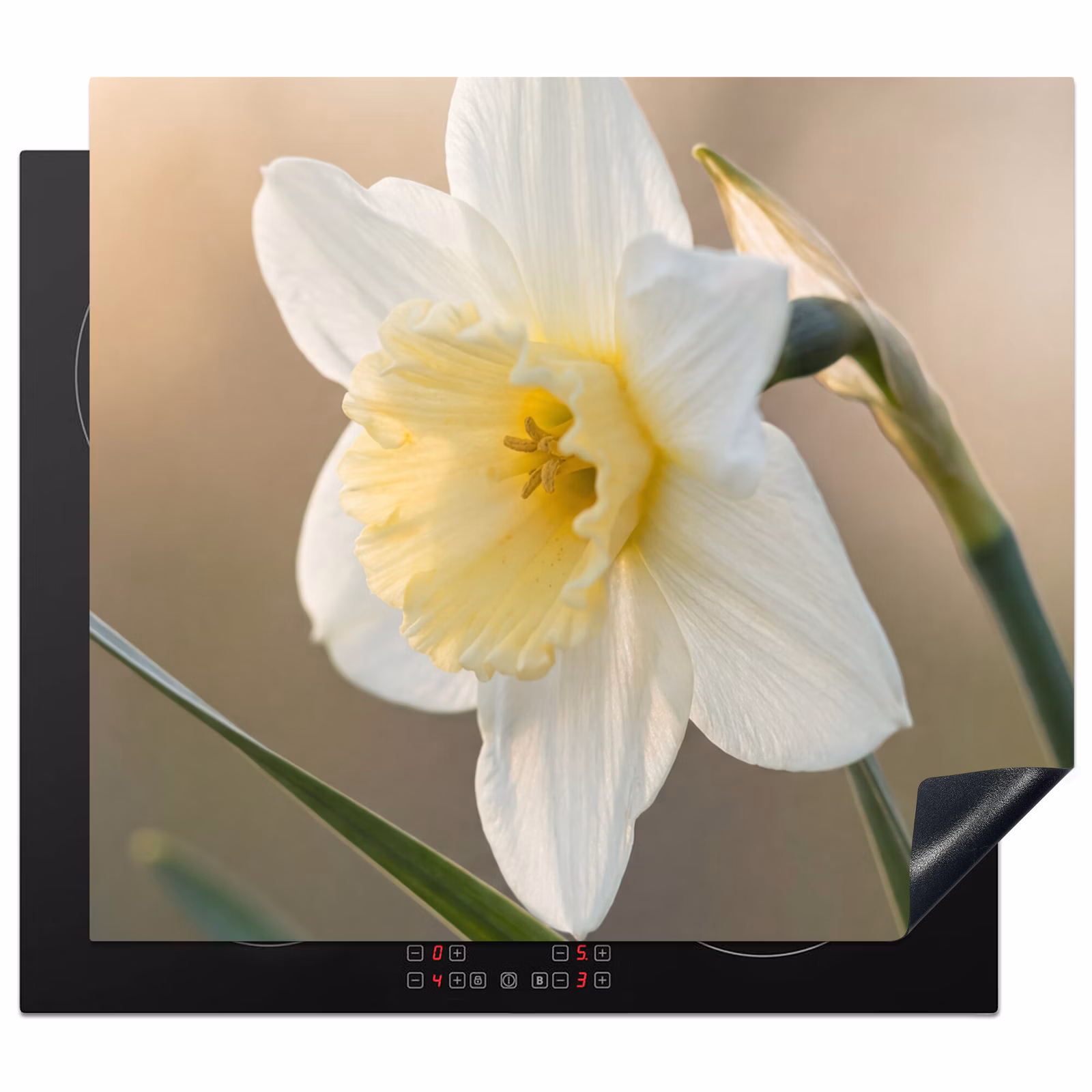 Protection plaque induction - Jonquille - Fleur - Minimaliste — 1