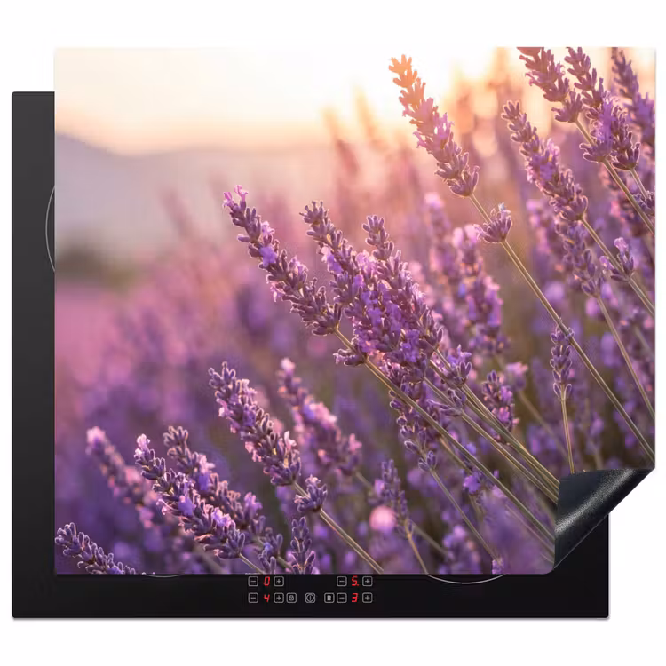 Protection plaque induction - Lavande - Pourpre - Soleil — 1