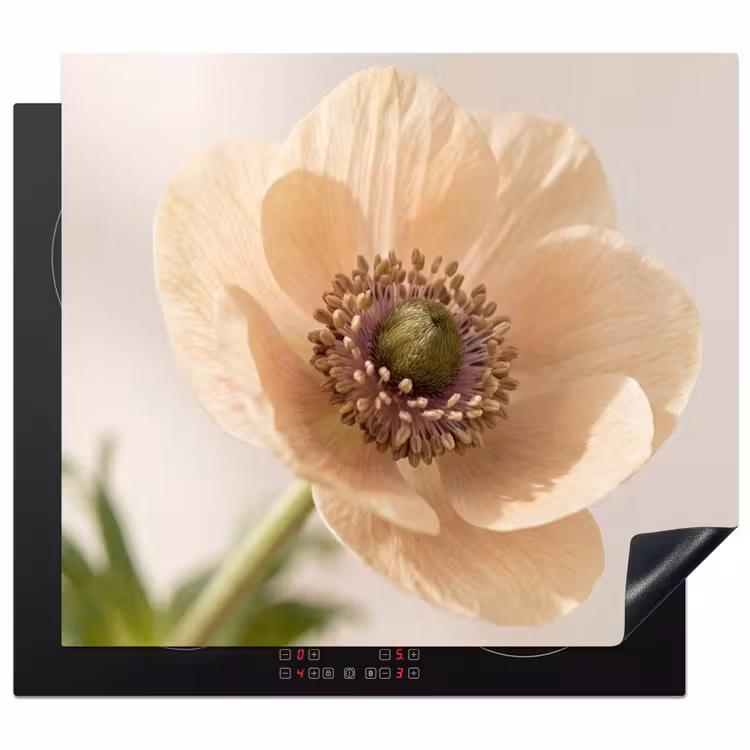 Protection plaque induction - Fleur - Minimaliste - Vert — 1
