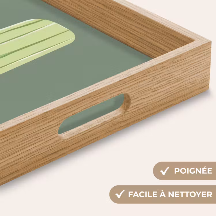 Plateau - Vert - Glace à l'eau - Bâton - Illustration — 8