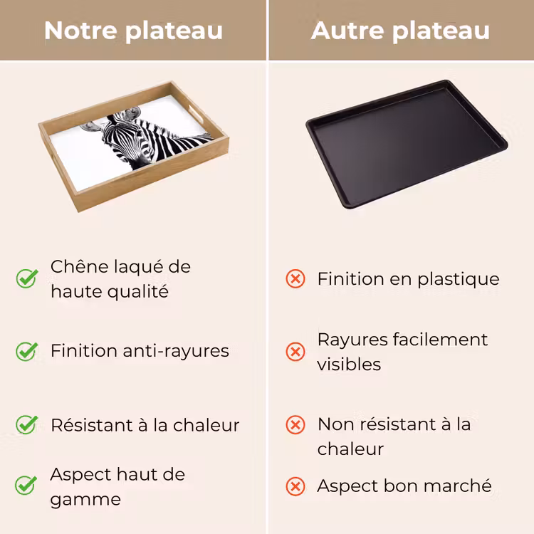 Plateau - Zèbre - Gros plan - Noir - Rayures — 9