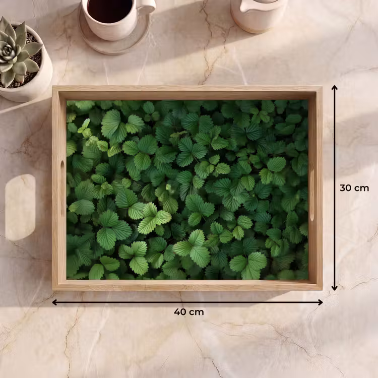 Plateau - Vert - feuille - dentelé - soleil — 7