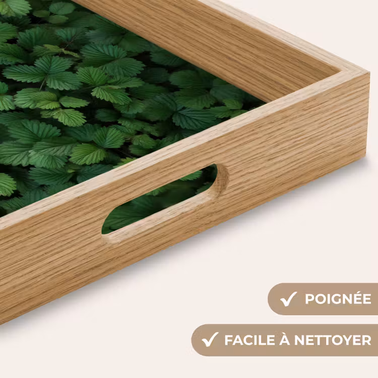 Plateau - Vert - feuille - dentelé - soleil — 8