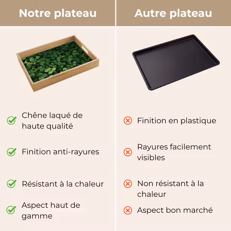 Plateau - Vert - feuille - dentelé - soleil — 9
