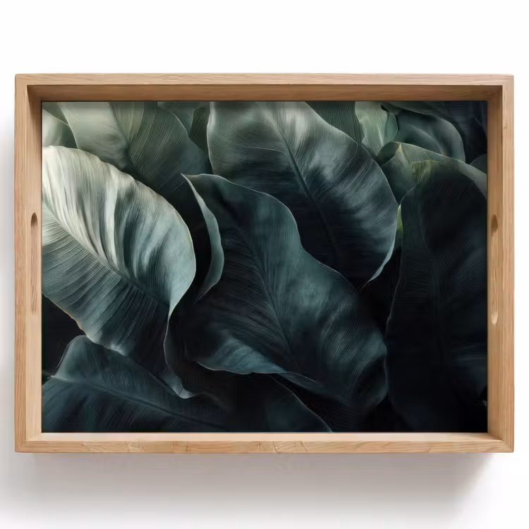 Plateau - Vert - Feuilles - Lisses - Veines — 1