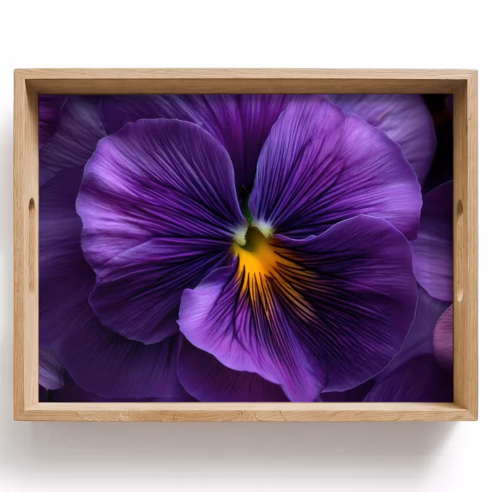 Plateau - Violet - Violon - Profondeur — 1