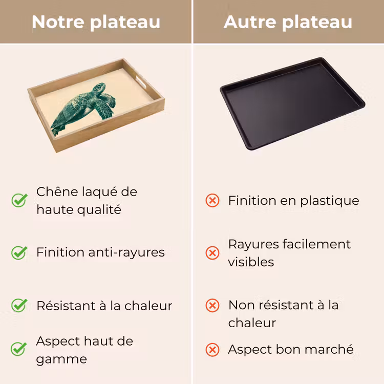 Plateau - Tortue - Elégant - Vert - Bouclier — 9