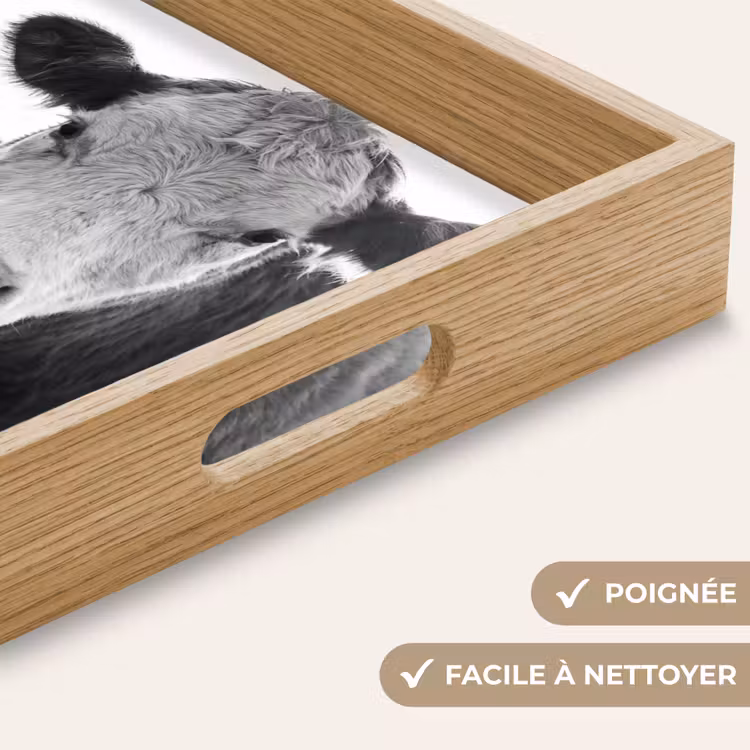Plateau - Vaches - Noir et blanc — 8