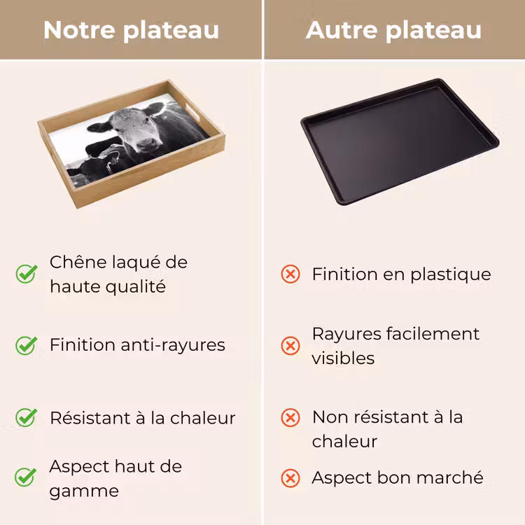 Plateau - Vaches - Noir et blanc — 9