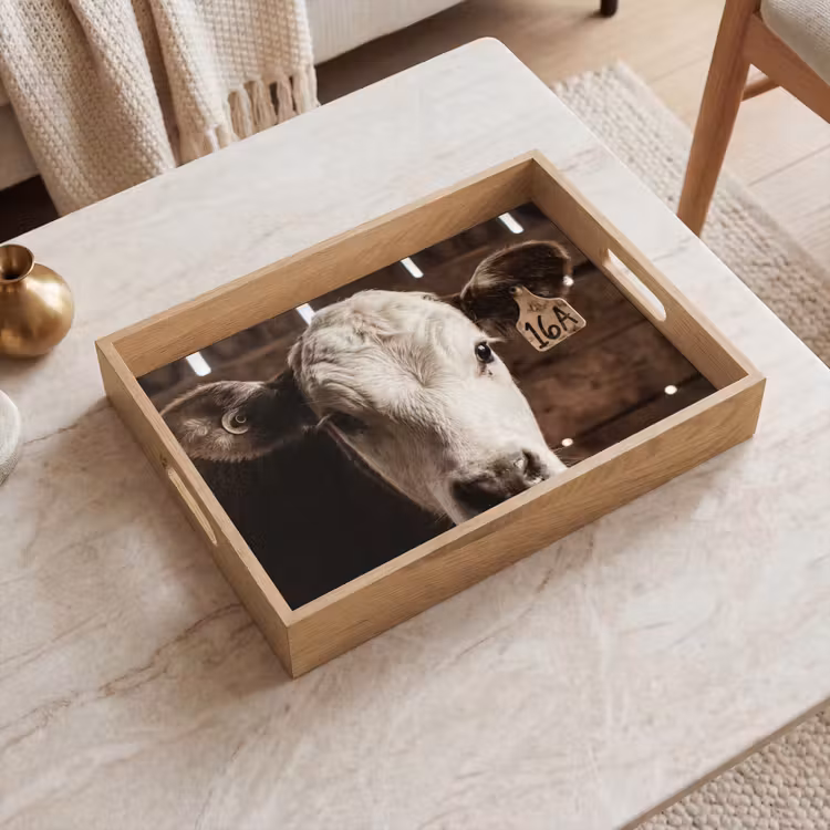 Plateau - Veau - Earmark - Ecurie en bois — 2
