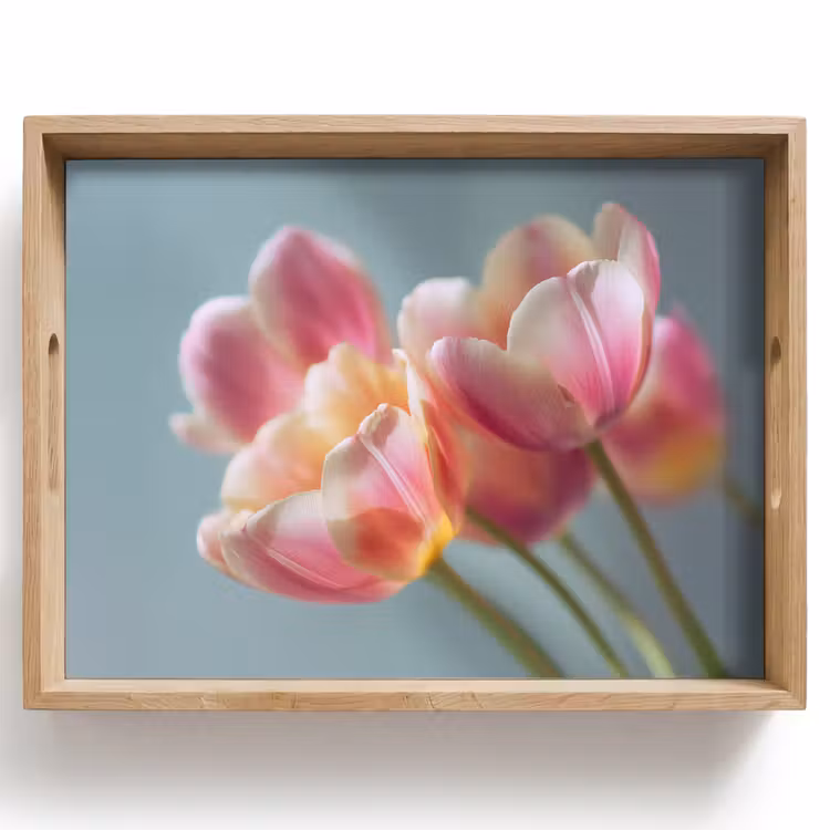 Plateau - Tulipes - Rose - Tiges — 1