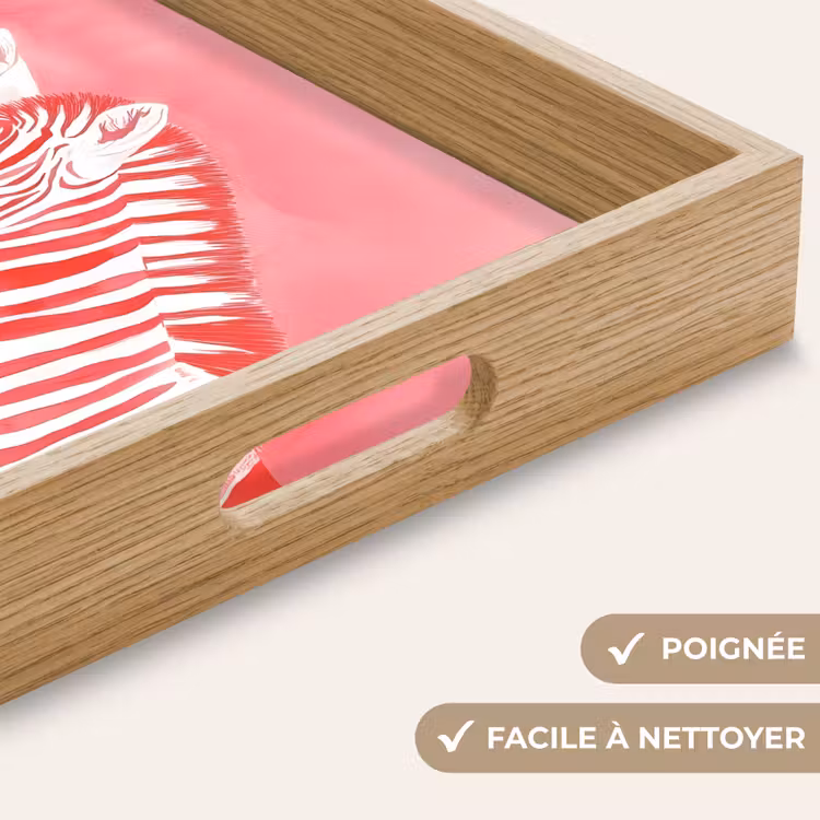 Plateau - Zèbre - Rose - Peinture — 8