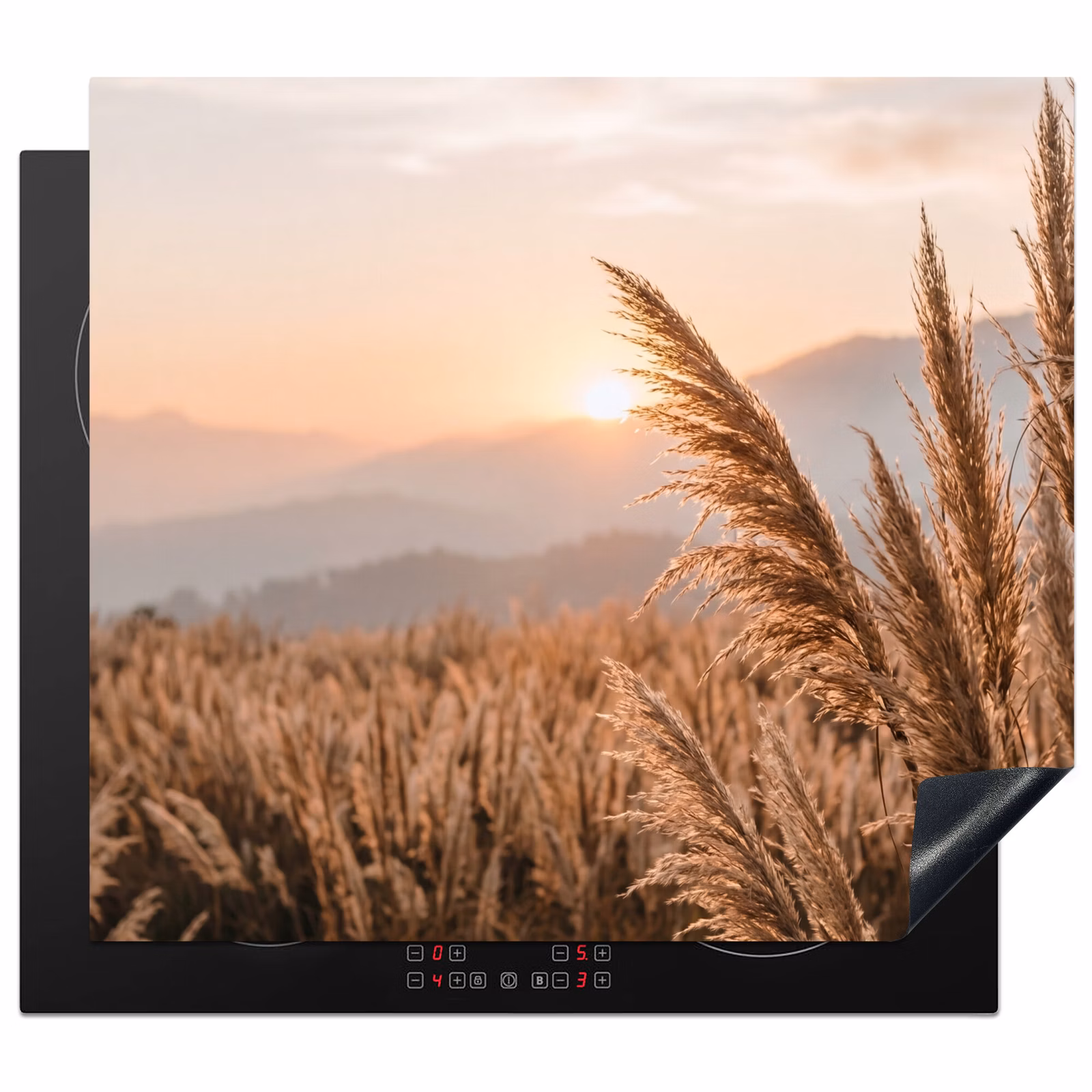 Protection plaque induction - Herbe - Champ - Soleil - Nature — 1