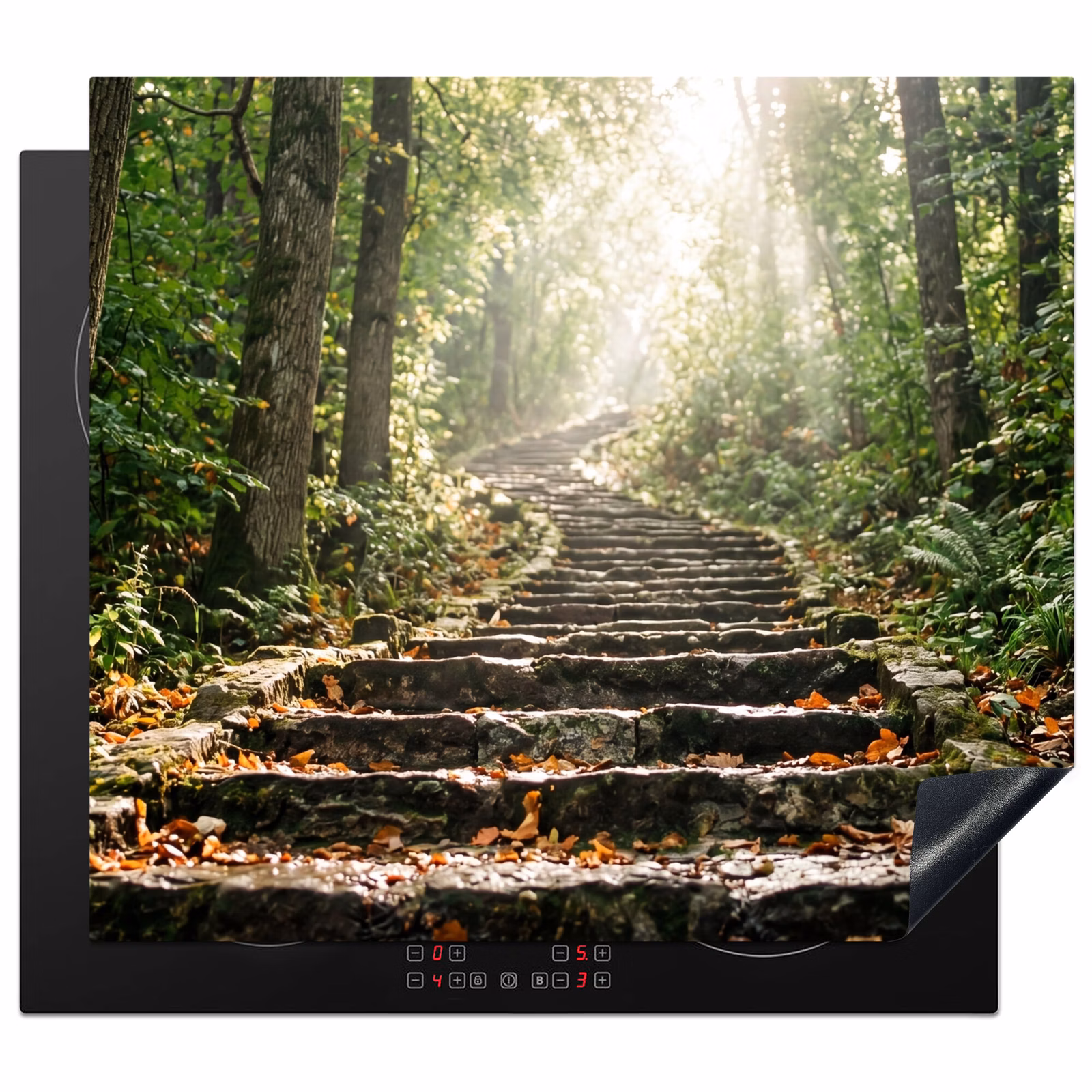 Protection plaque induction - Pierres - Escaliers - Forêt - Nature — 1