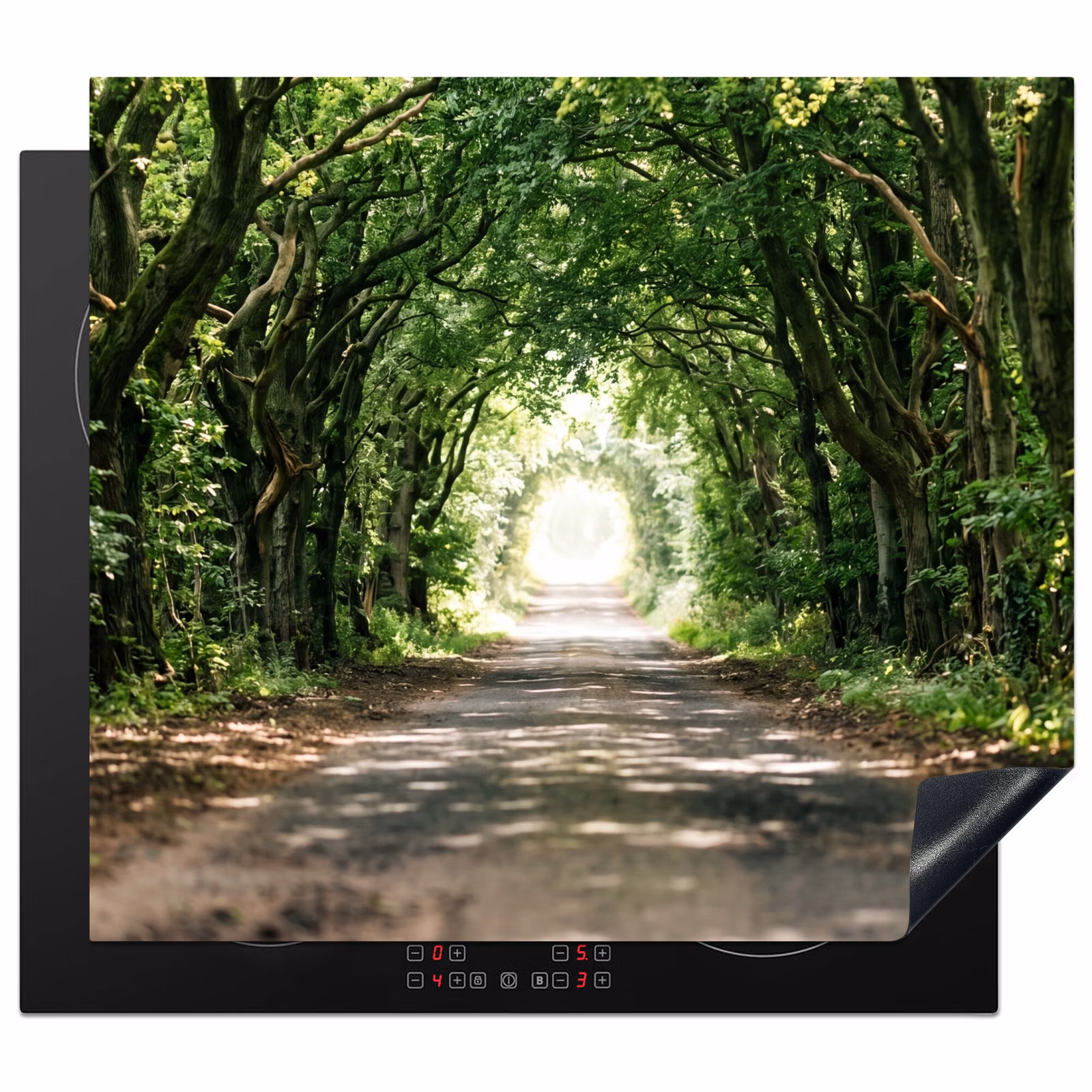 Protection plaque induction - Route - Arbres - Nature - Vert — 1