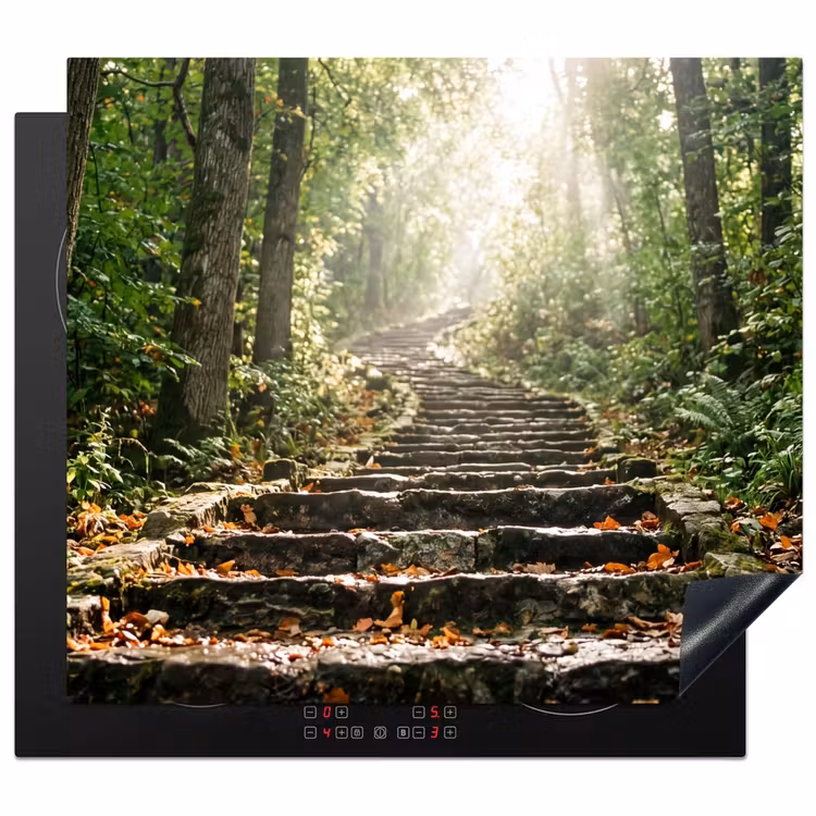 Protection plaque induction - Pierres - Escaliers - Forêt - Nature — 1