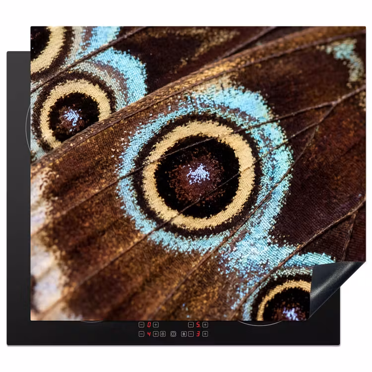 Protection plaque induction - Ailes - Papillon - Bleu — 1