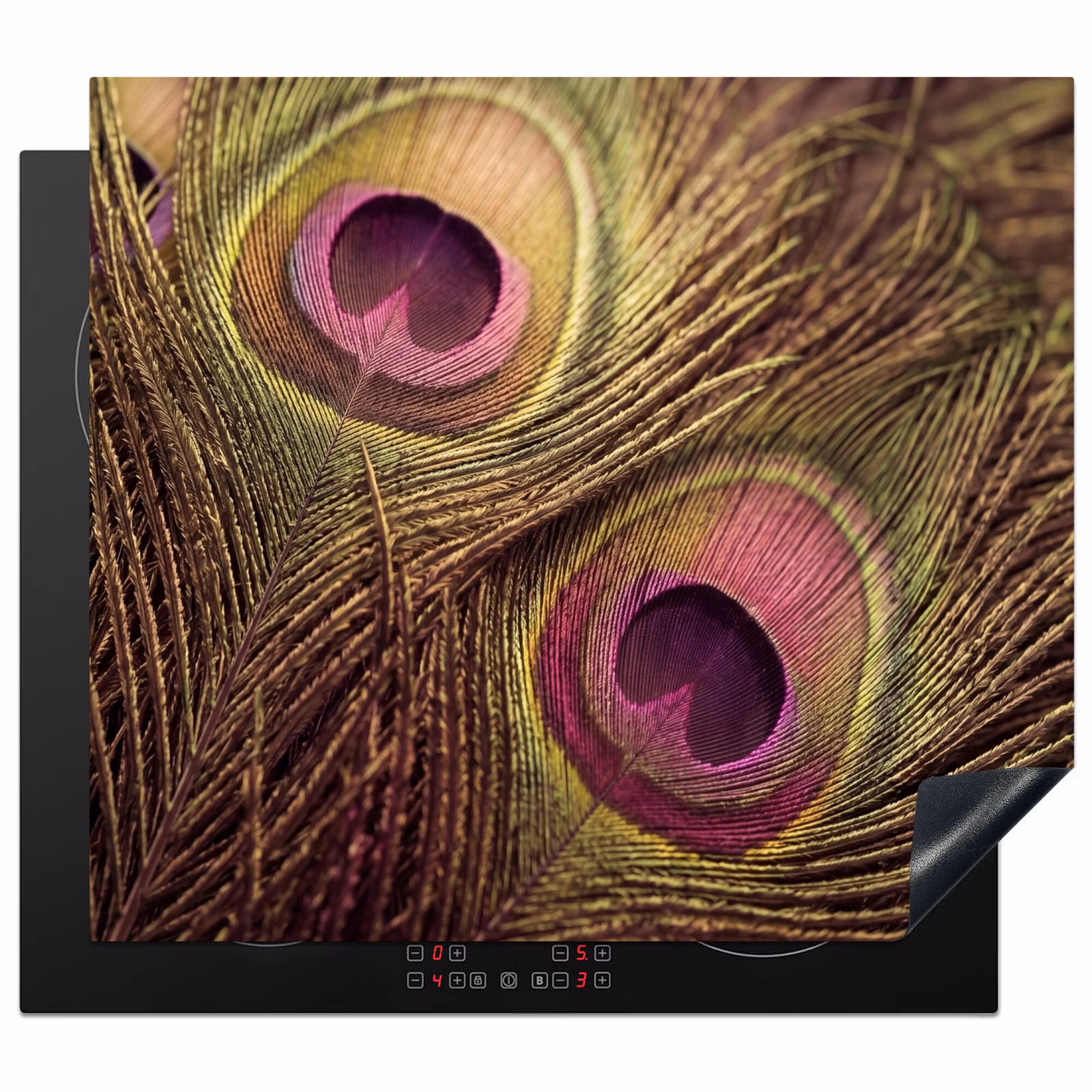 Protection plaque induction - Paon - Plumes - Violet - Vert — 1