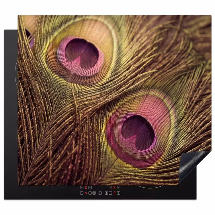 Protection plaque induction - Paon - Plumes - Violet - Vert — 1