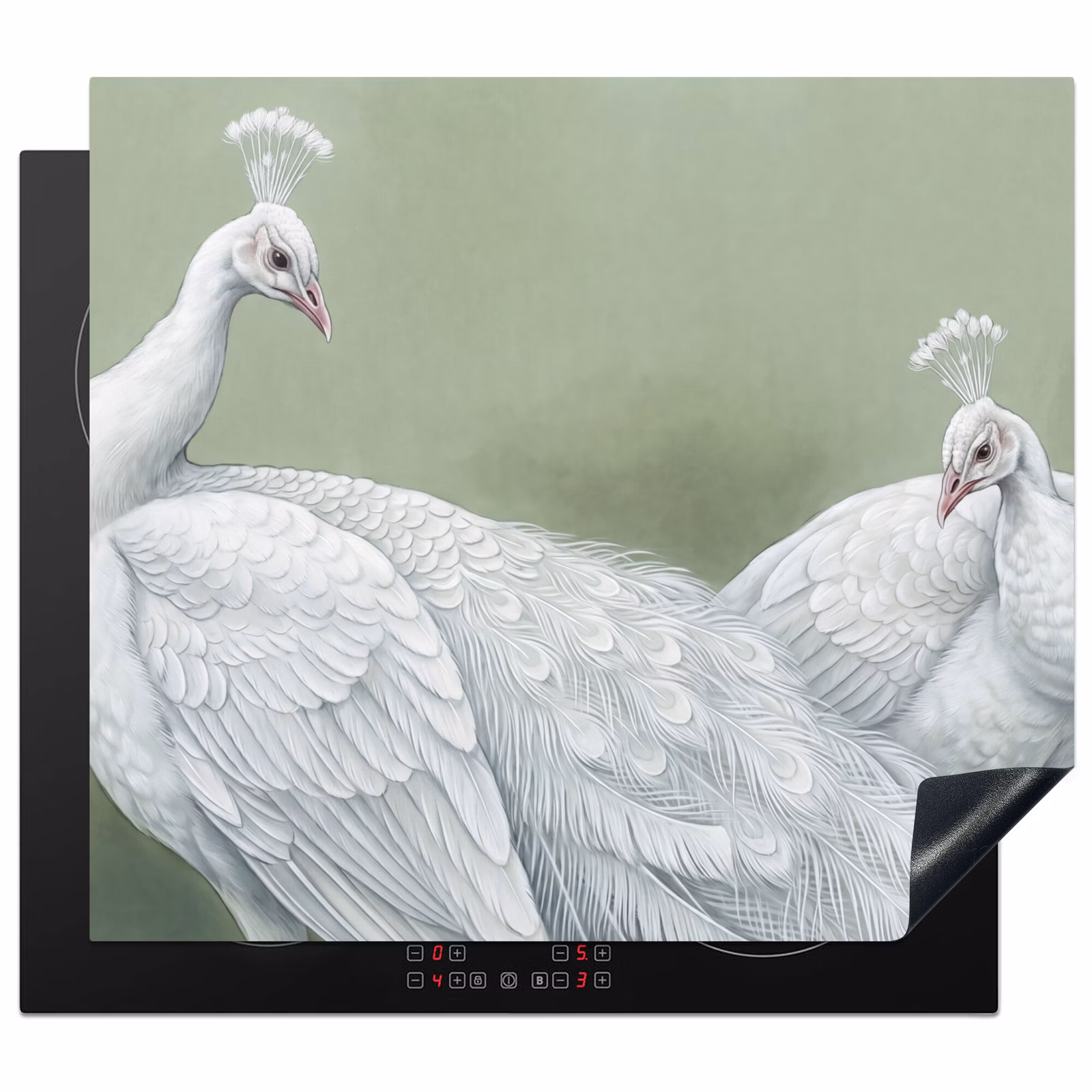 Protection plaque induction - Paons - Blanc - Nature - Vert — 1