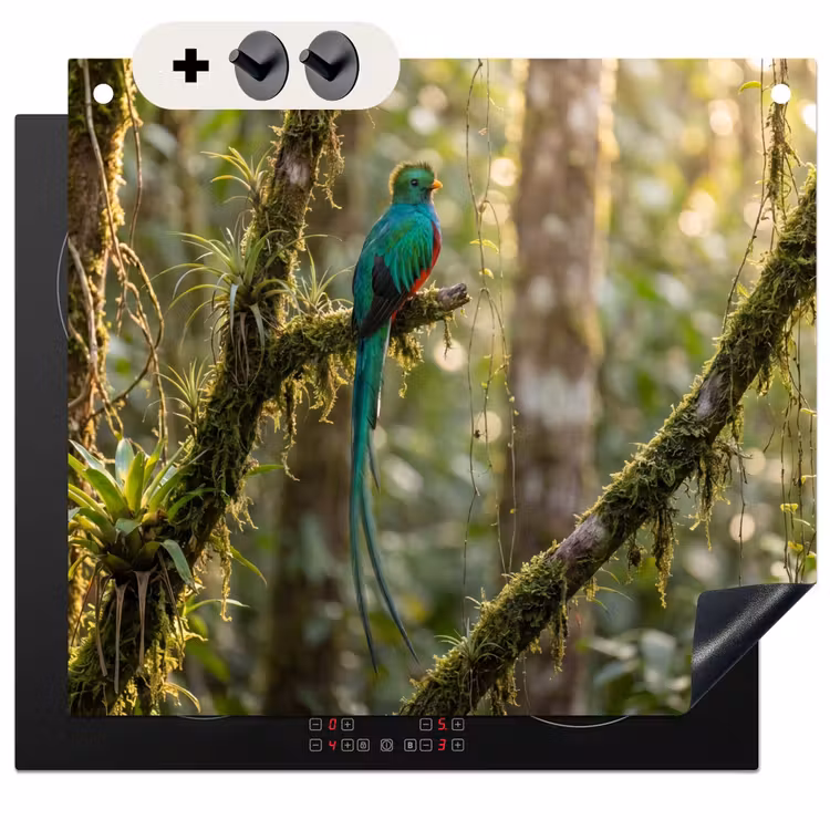 Protection à induction avec crochets - Quetzal - Jungle - Nature - Vert — 3
