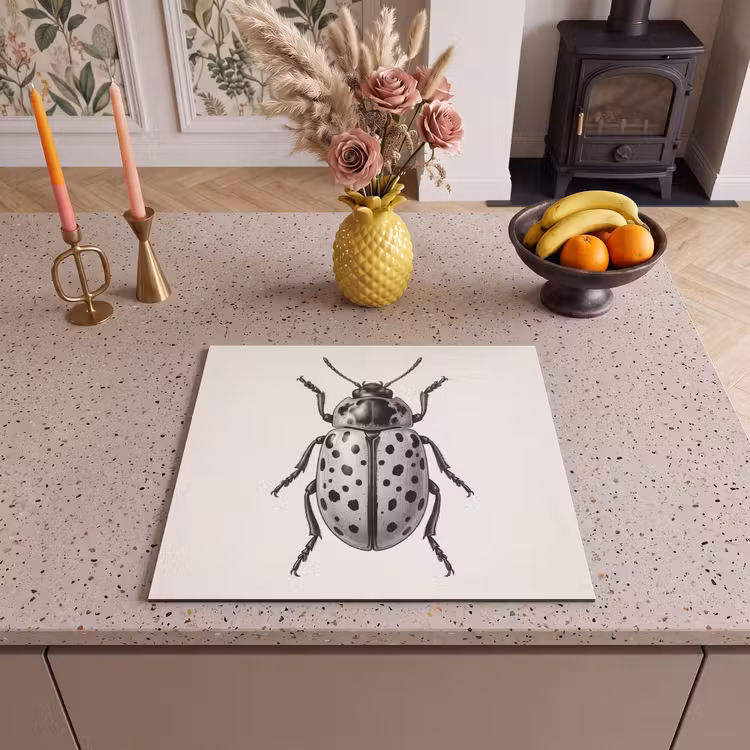 Protection plaque induction - Coccinelle - Insecte - Vintage — 3