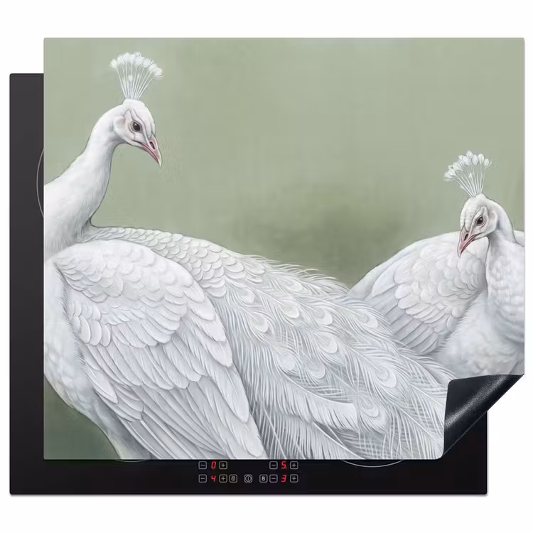 Protection plaque induction - Paons - Blanc - Nature - Vert — 1
