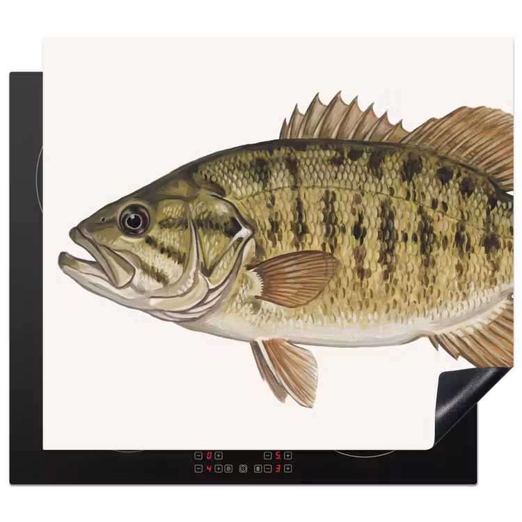 Protection plaque induction - Poisson - Nature - Vintage — 1