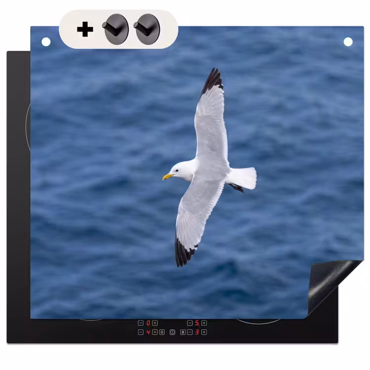 Protection à induction avec crochets - Mouette - Océan - Bleu — 3