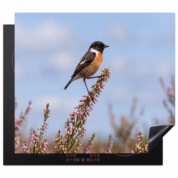Protection plaque induction - Stonechat - Bruyère - Pourpre - Nature - Atmosphérique — 1