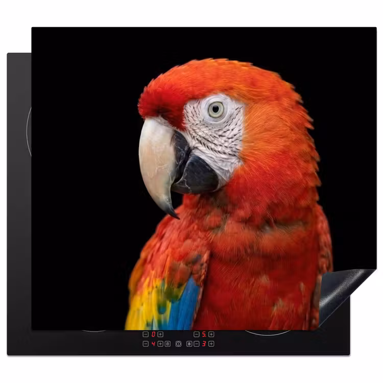Protection plaque induction - Ara - Portrait - Rouge — 1