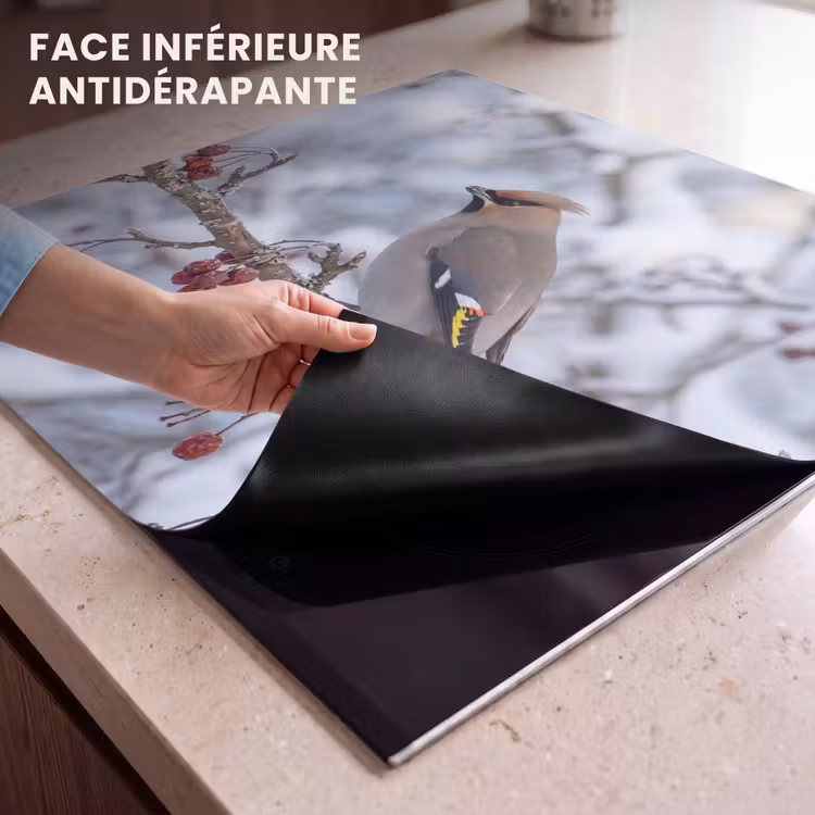 Protection plaque induction - Loir - Baies - Hiver - Nature — 7