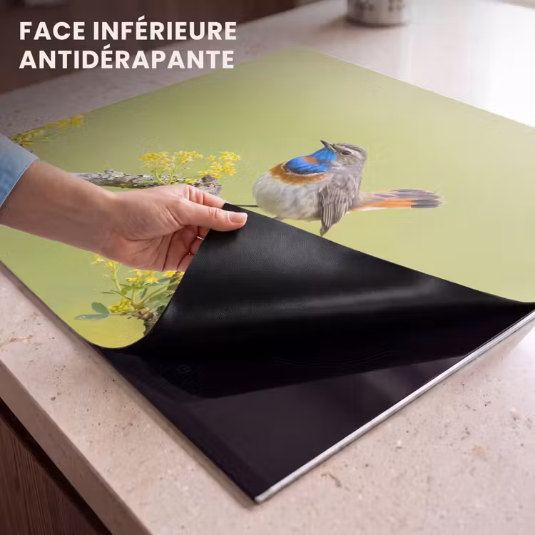 Protection plaque induction - Oiseau - Branche - Nature - Coloré — 7