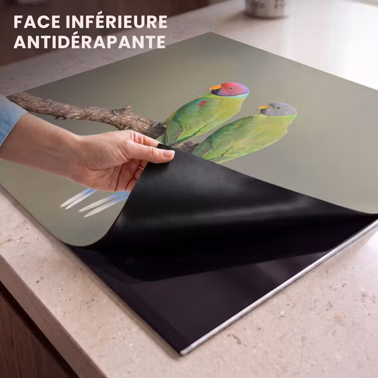 Protection plaque induction - Perroquet - Branche - Nature - Coloré — 7