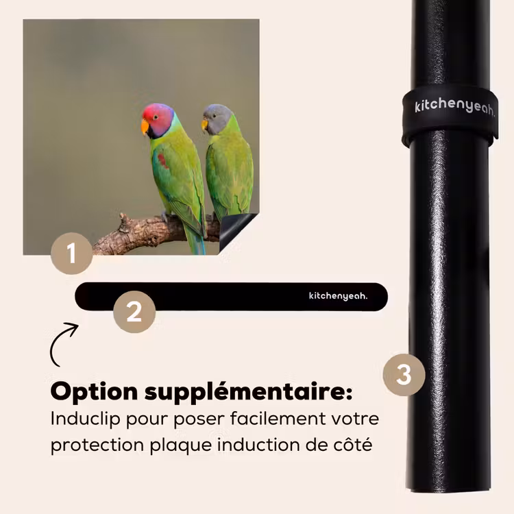 Protection plaque induction - Perroquet - Branche - Nature - Coloré — 8