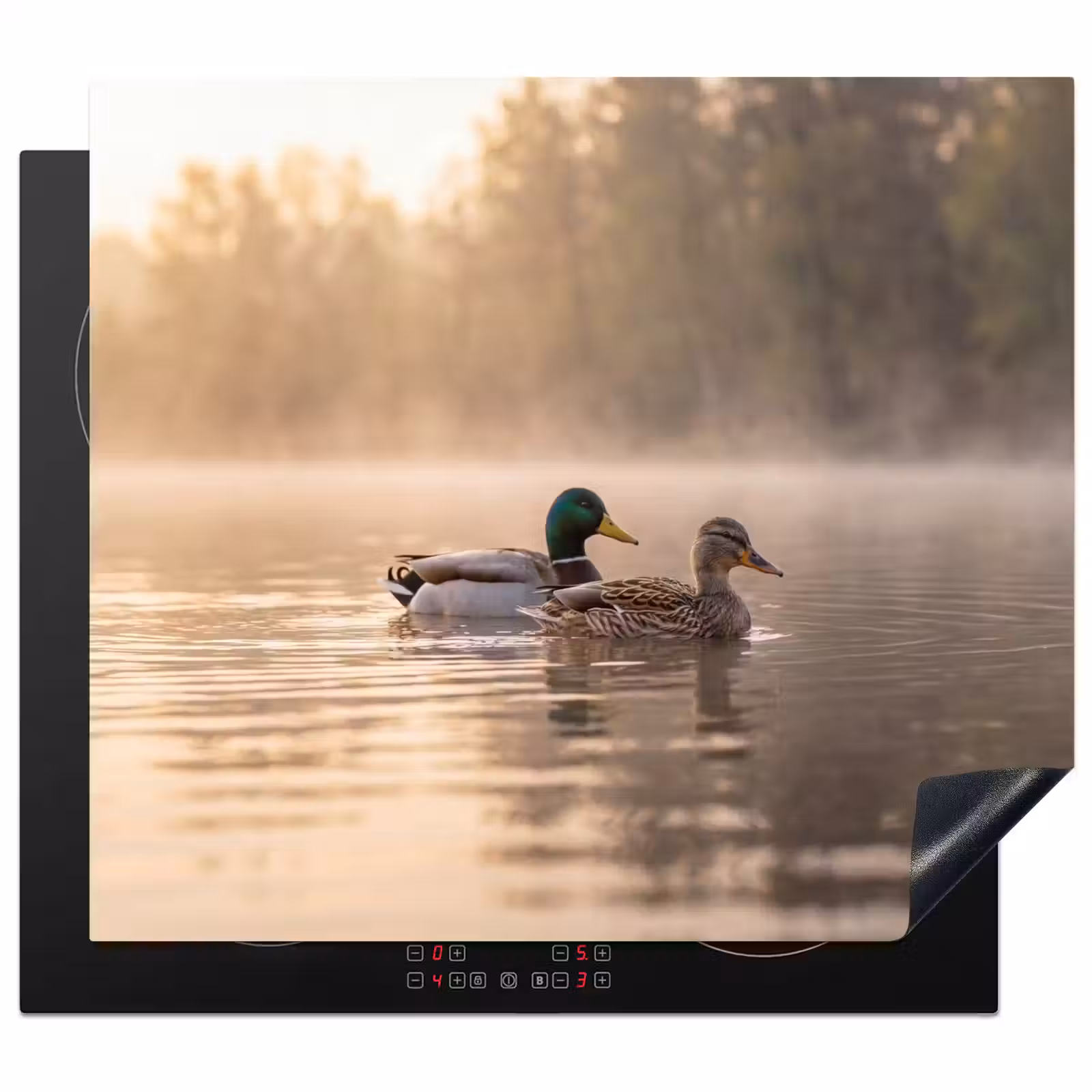 Protection plaque induction - Canards - Eau - Brouillard - Nature — 1
