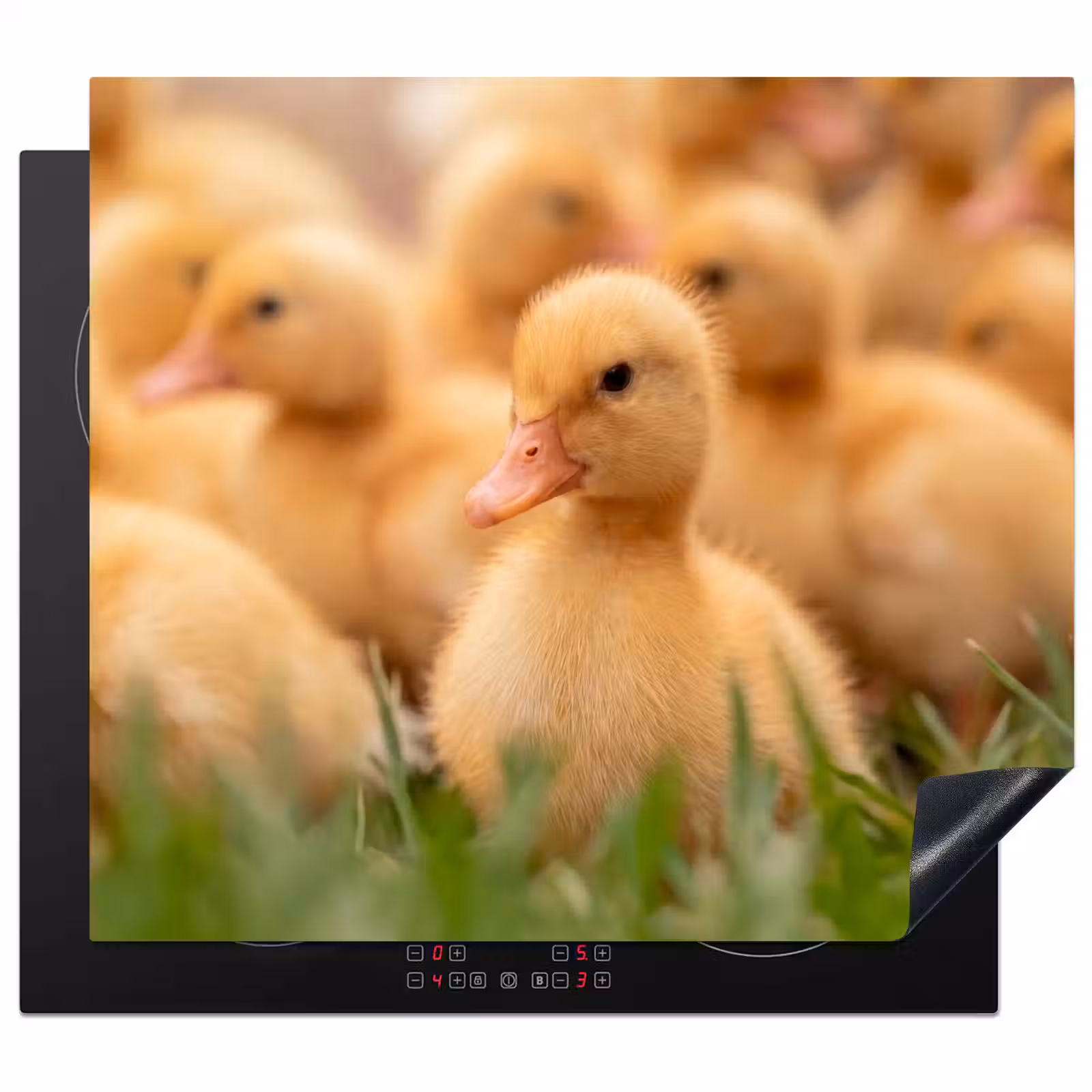 Protection plaque induction - Flèche - Canard - Nature - Jaune — 1