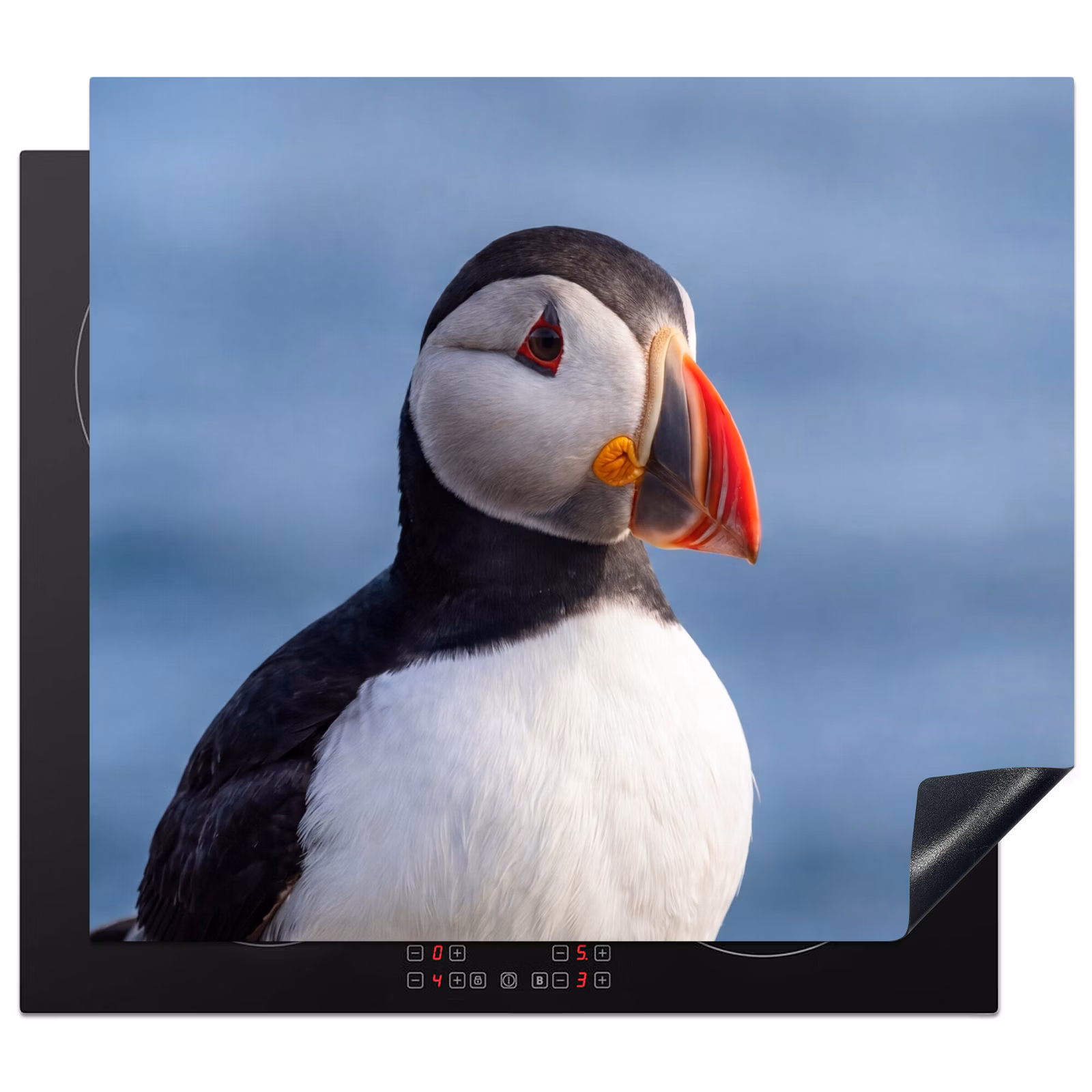 Protection plaque induction - Macareux - Portrait - Nature — 1